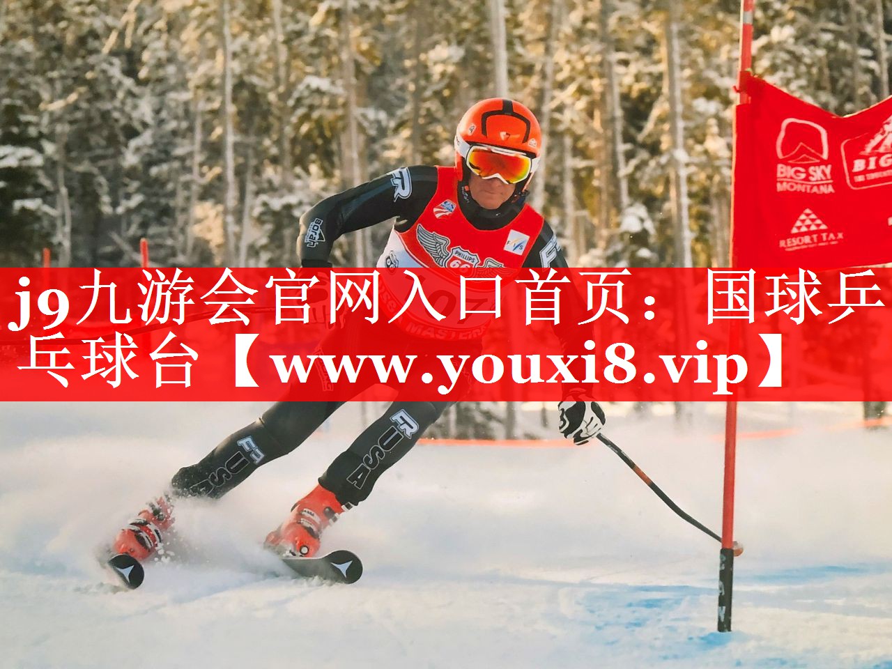 国球乒乓球台